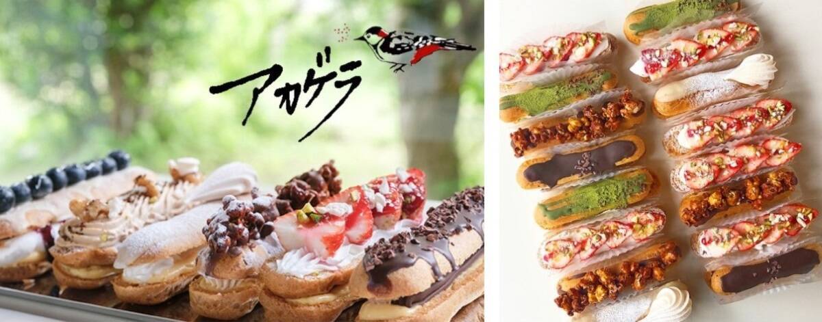 温泉だけじゃない！バレンタインの時期に訪れたい「大分」の魅力を紹介　「縁結び」スポットや夕陽の溶ける海、絶品スイーツ情報も