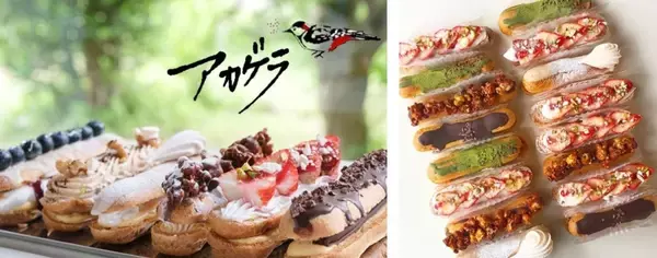 「温泉だけじゃない！バレンタインの時期に訪れたい「大分」の魅力を紹介　「縁結び」スポットや夕陽の溶ける海、絶品スイーツ情報も」の画像