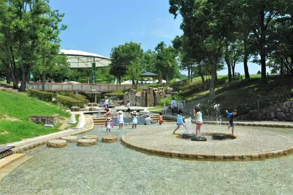 「琴平駅から好アクセス！国営讃岐まんのう公園「サマーフェスタ」コキアに、ひまわりに、カブトムシに楽しいがいっぱい」の画像