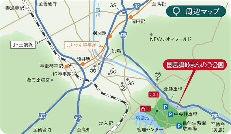 琴平駅から好アクセス！国営讃岐まんのう公園「サマーフェスタ」コキアに、ひまわりに、カブトムシに楽しいがいっぱい