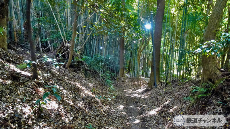 つくばエクスプレス【駅ぶら】056　流山セントラルパーク駅　その10　思井熊野神社　庚申塔