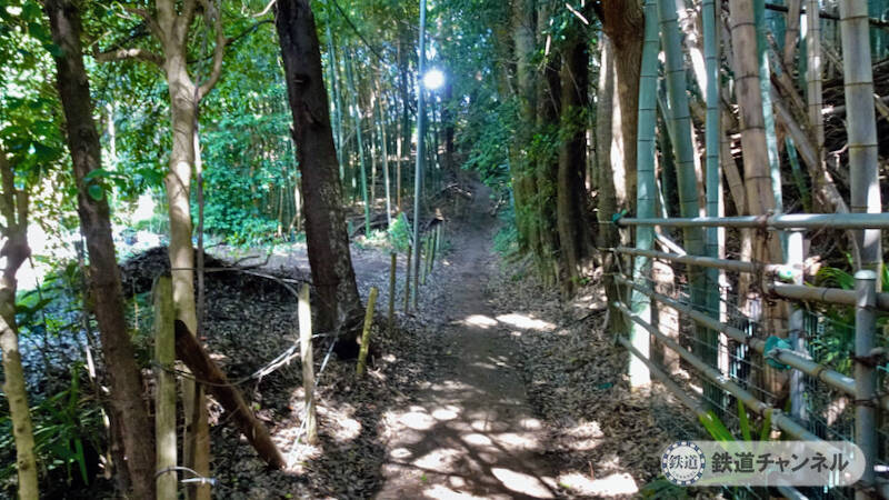 つくばエクスプレス【駅ぶら】056　流山セントラルパーク駅　その10　思井熊野神社　庚申塔