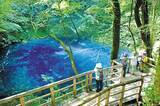 「JR東日本×ウェザーニューズ【最高気温差10℃以上】本当に涼しい避暑地！「リゾートしらかみ」や「HIGH RAIL 1375」でめぐる快適な夏旅」の画像5