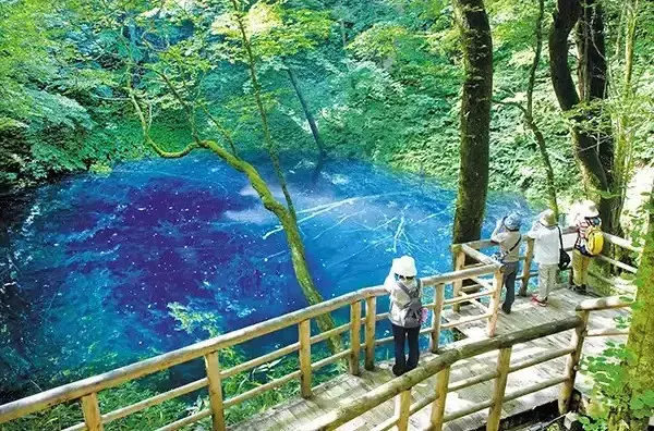 「JR東日本×ウェザーニューズ【最高気温差10℃以上】本当に涼しい避暑地！「リゾートしらかみ」や「HIGH RAIL 1375」でめぐる快適な夏旅」の画像