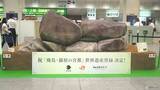 「東京駅に「石舞台古墳」が出現！世界遺産への旅を誘う奈良県×JR東海×近鉄コラボ　2週間限定の待ち合わせスポットにいかが？」の画像1
