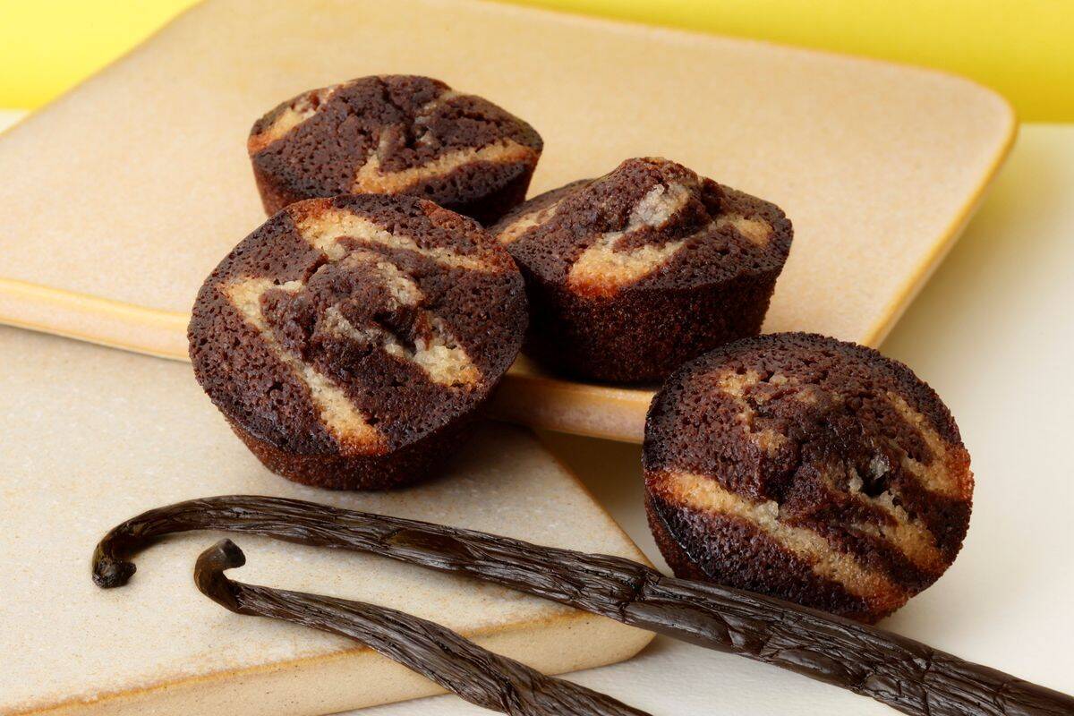 新大阪駅で話題の最新土産は不思議な味？ウガンダ産カカオ×イカリソース「大阪ショコラ・フィナンシェ」3/1から大阪府内へ販売拡大