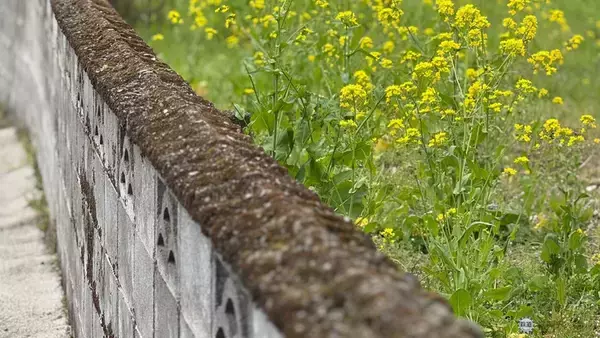 「【人吉編】熊本・阿蘇・人吉を巡って「熊本プレDC」を体験！ 引退したSL人吉の行方は？ 国宝「青井阿蘇神社」に焼酎蔵、球磨川遊覧、鍾乳洞も体験」の画像