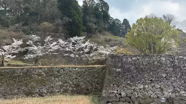 「【人吉編】熊本・阿蘇・人吉を巡って「熊本プレDC」を体験！ 引退したSL人吉の行方は？ 国宝「青井阿蘇神社」に焼酎蔵、球磨川遊覧、鍾乳洞も体験」の画像