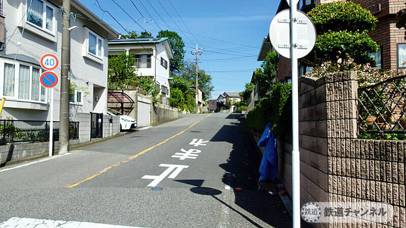 つくばエクスプレス【駅ぶら】047　流山セントラルパーク駅　その1　大宮神社