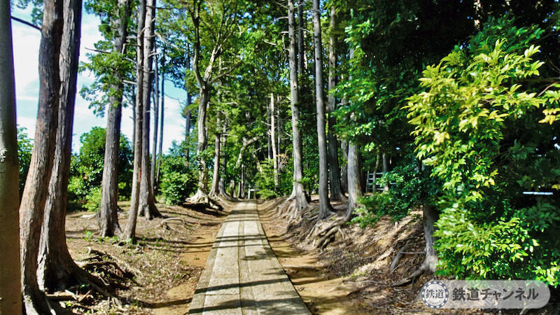 つくばエクスプレス【駅ぶら】047　流山セントラルパーク駅　その1　大宮神社