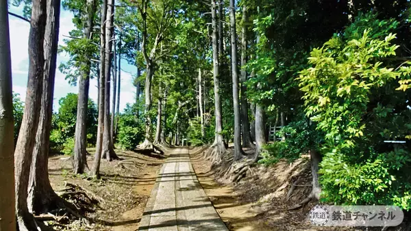 「つくばエクスプレス【駅ぶら】047　流山セントラルパーク駅　その1　大宮神社」の画像