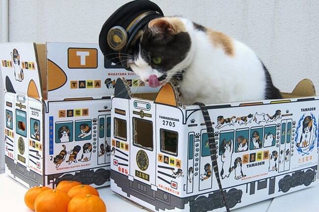 カキ、スナック菓子、ミカン　鉄道と食で三題噺（佐賀、千葉、和歌山）