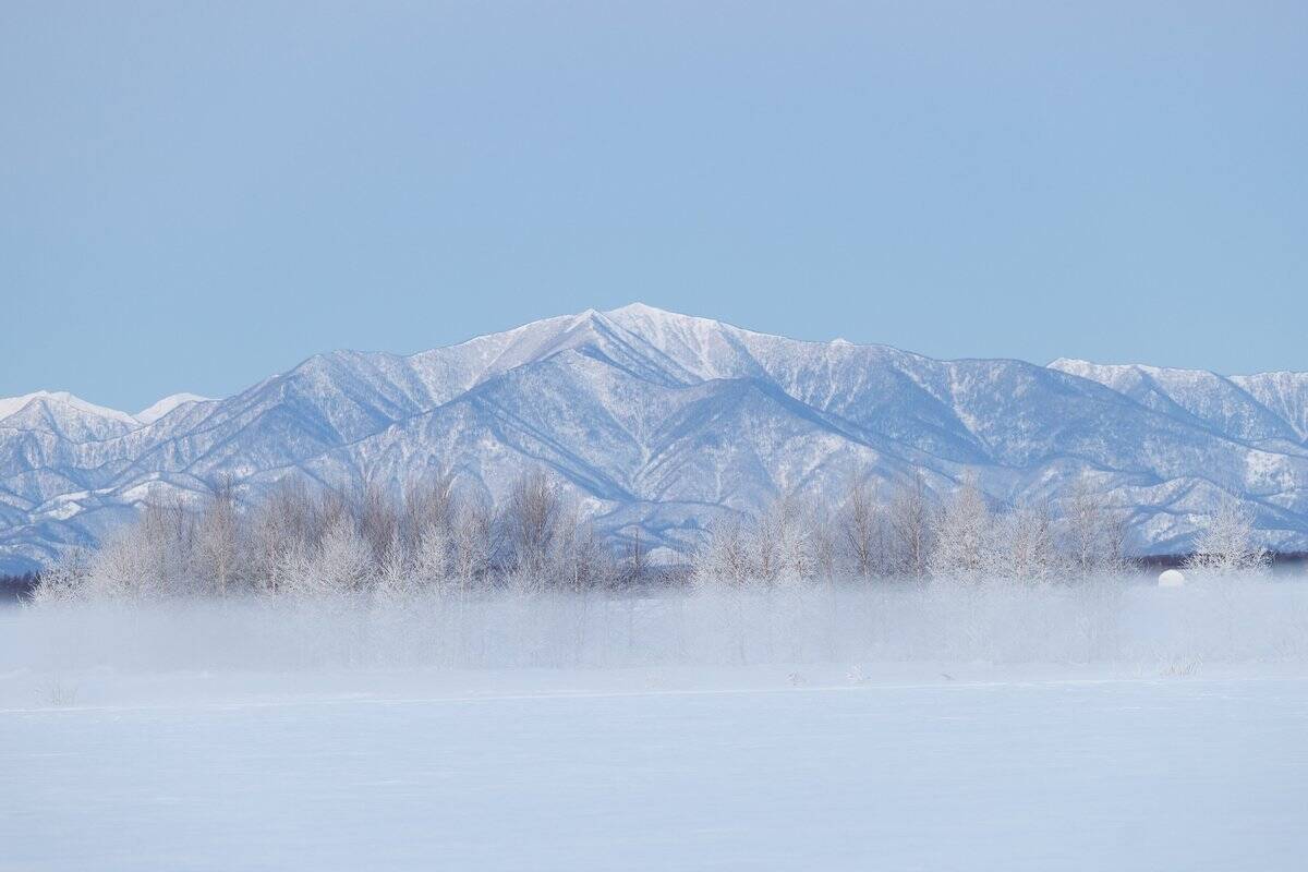 花粉症でも旅行を楽しめる！スギの少ない「避粉地」北海道・沖縄が人気。新千歳空港の混雑情報も解説