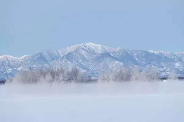 「花粉症でも旅行を楽しめる！スギの少ない「避粉地」北海道・沖縄が人気。新千歳空港の混雑情報も解説」の画像