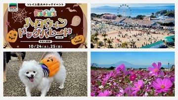 愛犬と観覧車に乗れる？ ソレイユの丘で超特大ハロウィンドッグイベントが10/24・25開催！ コスモス畑や三浦半島最大級のドッグランも登場！