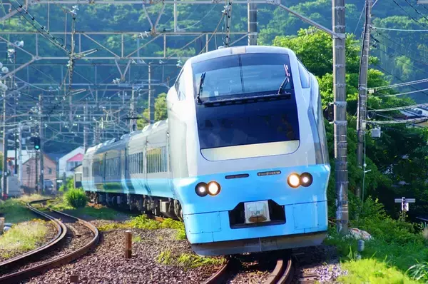 「高崎･川越･君津から「ひたち海浜公園」へ乗り換えなし！ 臨時列車「夏の海浜公園号」を利用して 緑のコキアを楽しもう」の画像