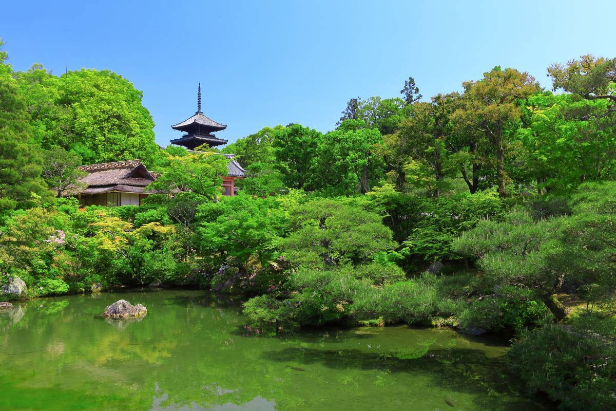 「京都駅」から無料送迎も！嵐電「御室仁和寺駅」徒歩2分の新湯宿『京都 御室 花伝抄』、仁和寺が目の前！ 鉄道旅に最適（5/24プレオープン）