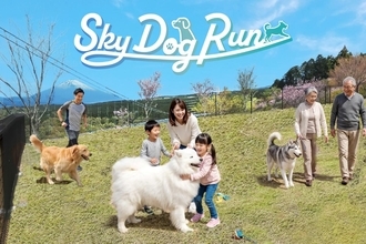 「三島スカイウォーク」愛犬家注目の新スポットが7月登場！絶景ドッグランで旅をアップデートしよう