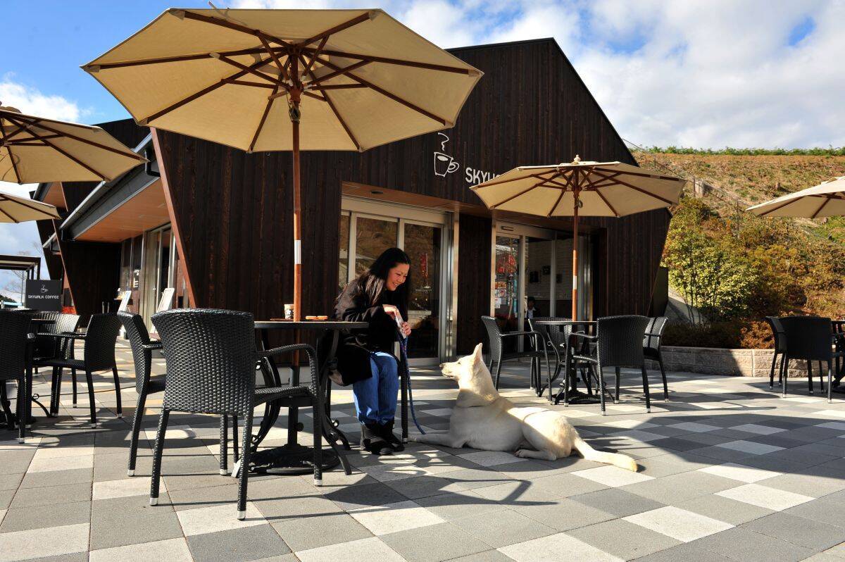 「三島スカイウォーク」愛犬家注目の新スポットが7月登場！絶景ドッグランで旅をアップデートしよう