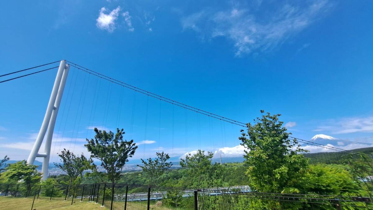 「三島スカイウォーク」愛犬家注目の新スポットが7月登場！絶景ドッグランで旅をアップデートしよう