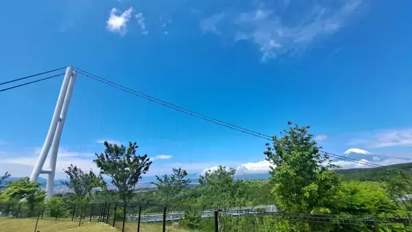 「「三島スカイウォーク」愛犬家注目の新スポットが7月登場！絶景ドッグランで旅をアップデートしよう」の画像