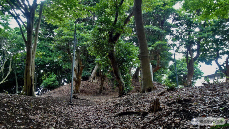 大須賀山には自然の海岸林が残っています【駅ぶら05】京成千葉線195