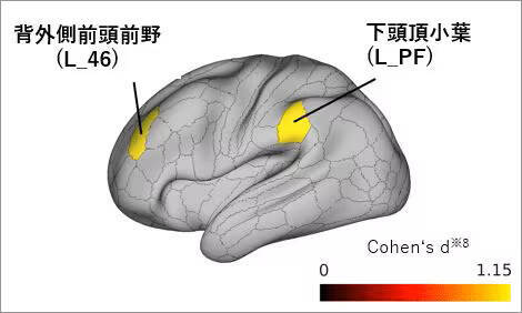 高カカオチョコレートで認知パフォーマンス維持＆脳活動効率化！ 明治と理化学研究所の共同研究で判明「脳資源をうまく抑えながら疲れにくい状態をキープできる」