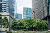 「大手町駅直結の「謎の森」が我々を熱中症から救う!? そもそも何故ここに森があるの？ 大都会のオアシスは本当に涼しいの？ 全部答えます」の画像1