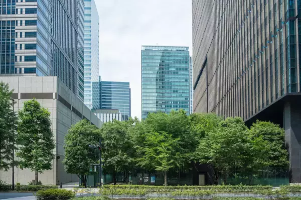 大手町駅直結の「謎の森」が我々を熱中症から救う!? そもそも何故ここに森があるの？ 大都会のオアシスは本当に涼しいの？ 全部答えます