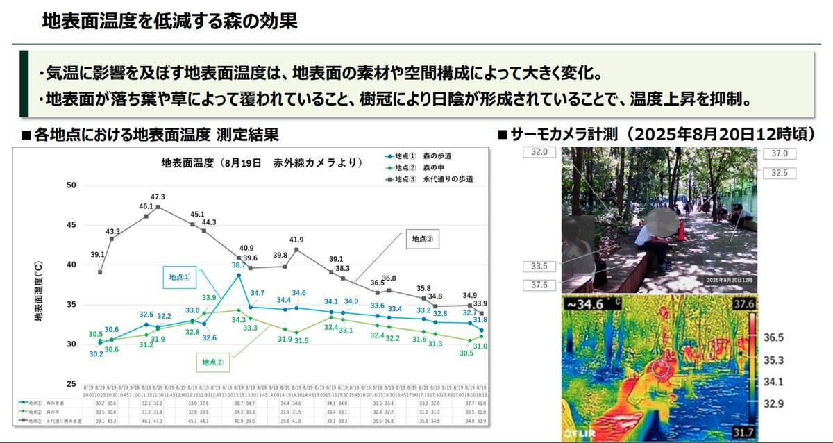 大手町駅直結の「謎の森」が我々を熱中症から救う!? そもそも何故ここに森があるの？ 大都会のオアシスは本当に涼しいの？ 全部答えます
