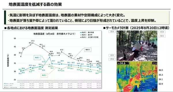 「大手町駅直結の「謎の森」が我々を熱中症から救う!? そもそも何故ここに森があるの？ 大都会のオアシスは本当に涼しいの？ 全部答えます」の画像