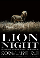 安達建之 写真展「LION NIGHT」1/17～1/21 ＠東京 青山 スパイラルガーデンで開催、夜行性ライオンの真実の姿がここで明らかに＿by ロイヤル・アーツ