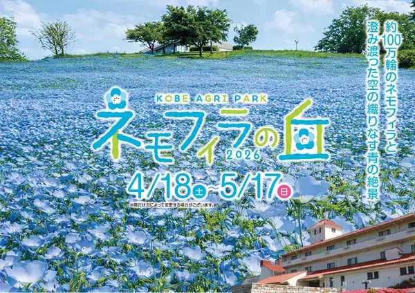 神戸に100万輪の青い丘！「こうべアグリパーク ネモフィラの丘2026」開催 初の夜間ライトアップや直通バス運行情報、BBQ付きプランもチェック