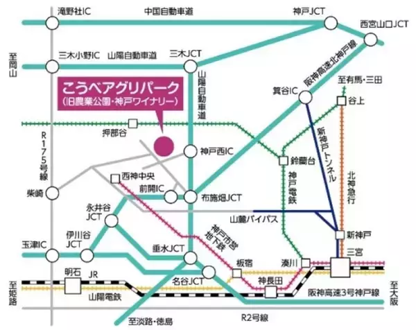 「神戸に100万輪の青い丘！「こうべアグリパーク ネモフィラの丘2026」開催 初の夜間ライトアップや直通バス運行情報、BBQ付きプランもチェック」の画像