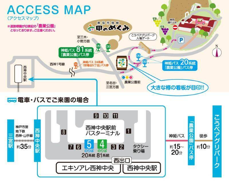 神戸に100万輪の青い丘！「こうべアグリパーク ネモフィラの丘2026」開催 初の夜間ライトアップや直通バス運行情報、BBQ付きプランもチェック