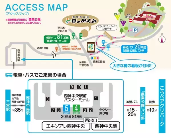 「神戸に100万輪の青い丘！「こうべアグリパーク ネモフィラの丘2026」開催 初の夜間ライトアップや直通バス運行情報、BBQ付きプランもチェック」の画像