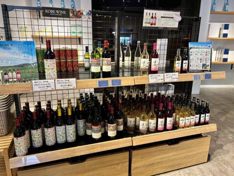 神戸に100万輪の青い丘！「こうべアグリパーク ネモフィラの丘2026」開催 初の夜間ライトアップや直通バス運行情報、BBQ付きプランもチェック