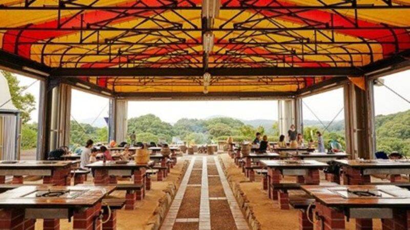 神戸に100万輪の青い丘！「こうべアグリパーク ネモフィラの丘2026」開催 初の夜間ライトアップや直通バス運行情報、BBQ付きプランもチェック