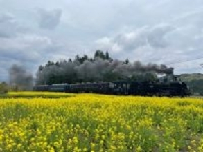 SL大樹×倉ケ崎SL花畑菜の花が見頃！ 2026GW東武鬼怒川線で行く「渋滞知らず」の日光・鬼怒川旅、手ぶらでキャンプや限定乗車証情報も