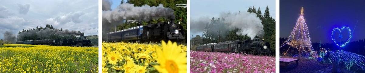 SL大樹×倉ケ崎SL花畑菜の花が見頃！ 2026GW東武鬼怒川線で行く「渋滞知らず」の日光・鬼怒川旅、手ぶらでキャンプや限定乗車証情報も