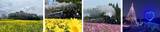 「SL大樹×倉ケ崎SL花畑菜の花が見頃！ 2026GW東武鬼怒川線で行く「渋滞知らず」の日光・鬼怒川旅、手ぶらでキャンプや限定乗車証情報も」の画像2