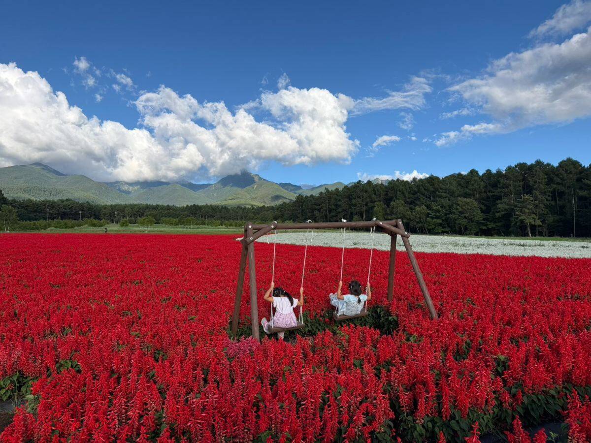 【猛暑脱出？】東京より8℃涼しい「YATZ GARDEN」に22万株の真っ赤な絨毯と絶景ブランコが登場！ JR中央本線で向かう八ヶ岳の休日