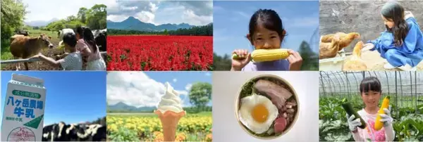 「【猛暑脱出？】東京より8℃涼しい「YATZ GARDEN」に22万株の真っ赤な絨毯と絶景ブランコが登場！ JR中央本線で向かう八ヶ岳の休日」の画像
