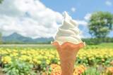「【猛暑脱出？】東京より8℃涼しい「YATZ GARDEN」に22万株の真っ赤な絨毯と絶景ブランコが登場！ JR中央本線で向かう八ヶ岳の休日」の画像7