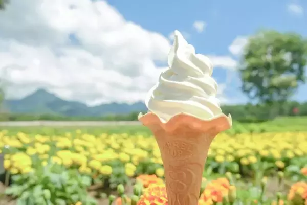 「【猛暑脱出？】東京より8℃涼しい「YATZ GARDEN」に22万株の真っ赤な絨毯と絶景ブランコが登場！ JR中央本線で向かう八ヶ岳の休日」の画像
