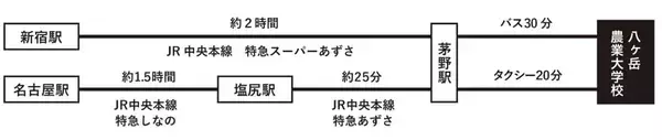 「【猛暑脱出？】東京より8℃涼しい「YATZ GARDEN」に22万株の真っ赤な絨毯と絶景ブランコが登場！ JR中央本線で向かう八ヶ岳の休日」の画像