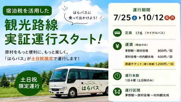 「【猛暑脱出？】東京より8℃涼しい「YATZ GARDEN」に22万株の真っ赤な絨毯と絶景ブランコが登場！ JR中央本線で向かう八ヶ岳の休日」の画像