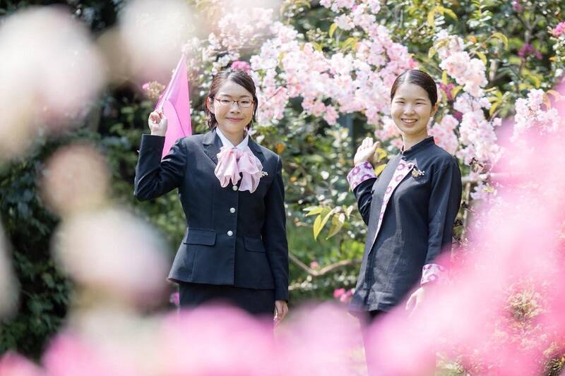 桜が目の前に迫る特等席！ 伊豆の桜名所を巡るオープンバスツアー【2026春】星野リゾート「界」で 究極のお花見体験 3/27開始