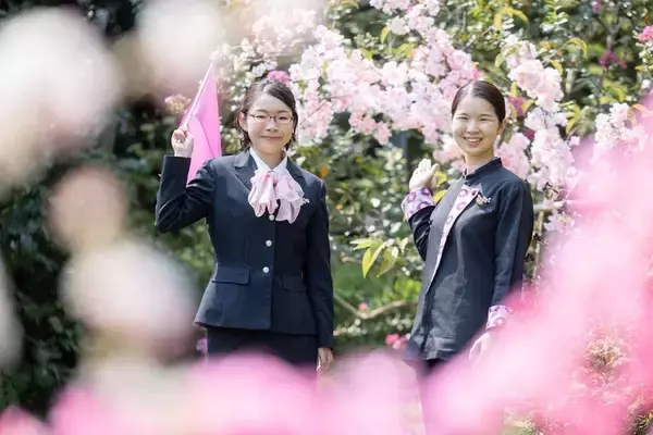 「桜が目の前に迫る特等席！ 伊豆の桜名所を巡るオープンバスツアー【2026春】星野リゾート「界」で 究極のお花見体験 3/27開始」の画像