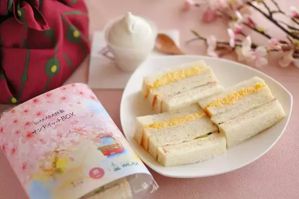 「桜が目の前に迫る特等席！ 伊豆の桜名所を巡るオープンバスツアー【2026春】星野リゾート「界」で 究極のお花見体験 3/27開始」の画像